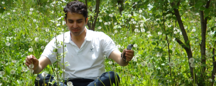 Amir Azarbakht in a dandelion garden
